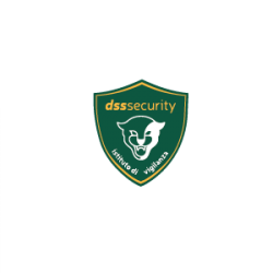 DSS Security